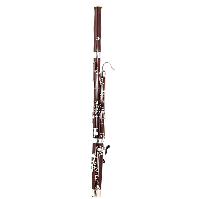 Students bassoon