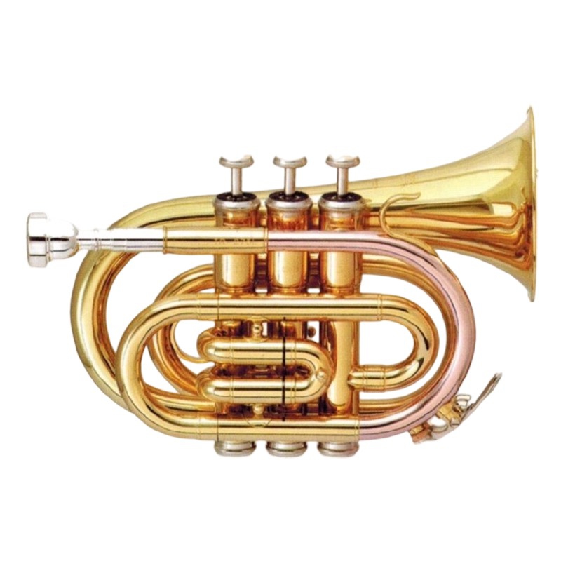 POCKET TRUMPET
